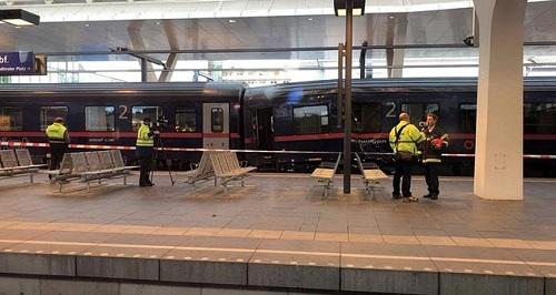 Dozens injured in Austrian train accident