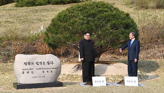 Two Koreas, U.N. Command wrap up first talks