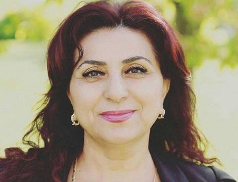 داها بیر آذربایجانلی خانیم میللت وکیلی سئچیلدی - فوتو