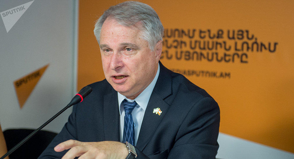 Цинкер о выборах в Ереване: полиции есть над чем работать
