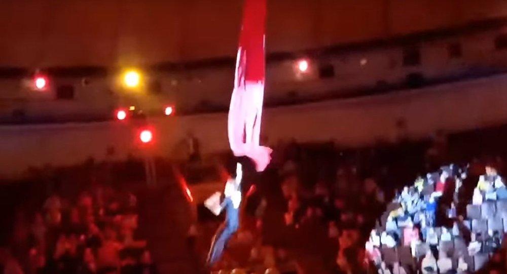 Aerialist falls during circus performance -