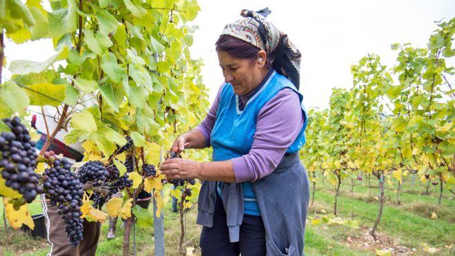 Migrant workers send home £8bn to families