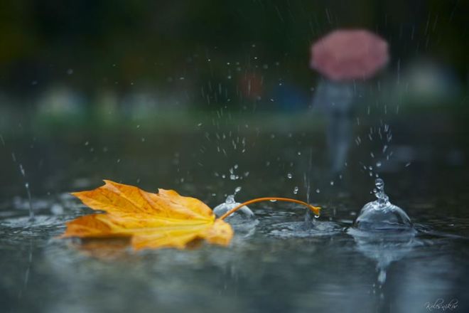 Sabah yağış yağacaq, dolu düşəcək