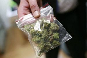 У жителя Хачмаза изъято более 20 кг марихуаны