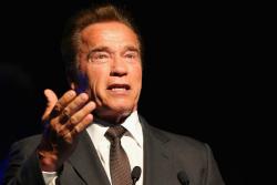 Arnold Schwarzenegger involved in a multi-car crash