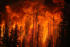 Syrian authorities evacuate citizens amid major forest fires