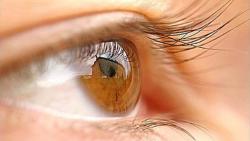 World first: Human eye transplanted