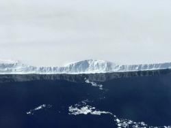 Ecosystem damage after Mega Iceberg dumps 152 bln tonnes