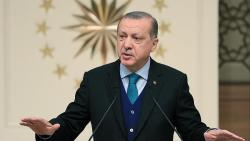 We are working for this in our region - Erdogan