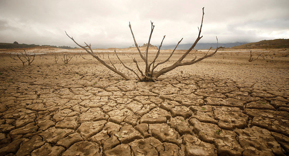 Europe is experiencing the worst drought in the 500 years
