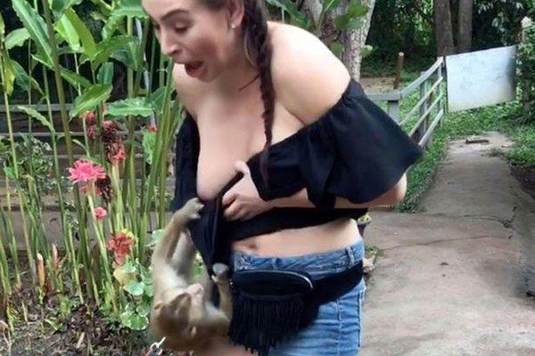 monkey pulls woman's top down