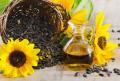 وزیر کشاورزی: یک و نیم برابر دنیا مصرف روغن و شکر داریم