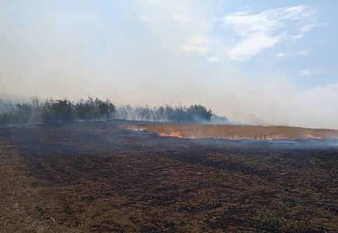 В Шахдагском национальном парке начался пожар