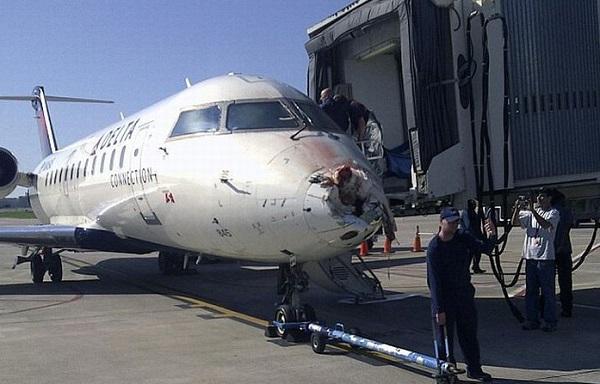 FlyArystan plane hits birds, damaged engine