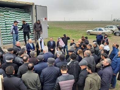 Səudiyyə Azərbaycana 60 min kq qurban əti göndərdi - Foto