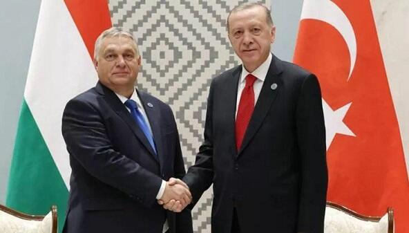 Эрдоган обсудил с Орбаном вопросы обороны