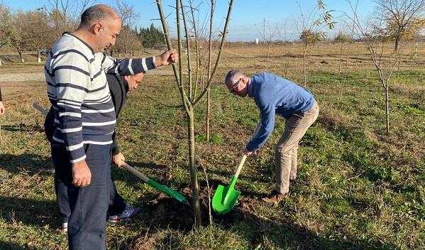 The British ambassador planted a tree in Ganja -