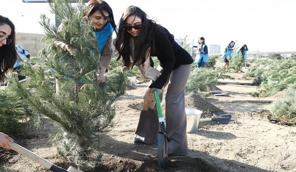 Nizami rayonunda 500 ağac əkildi