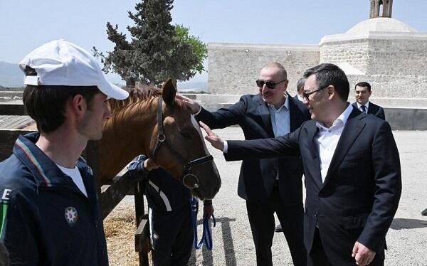 Алиев подарил Жапарову карабахского скакуна