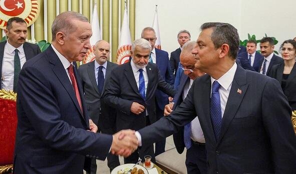 What did Ozel offer to Erdogan in a one-on-one meeting?
