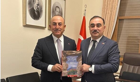 Посол Азербайджана встретился с Чавушоглу
