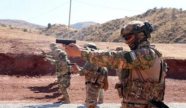 Our soldiers neutralized the armed group -