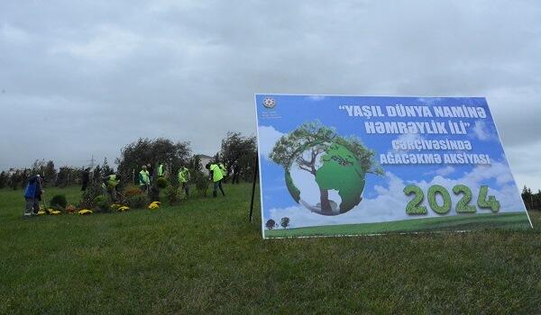 Xətai rayonunda ağacəkmə aksiyasına start verildi