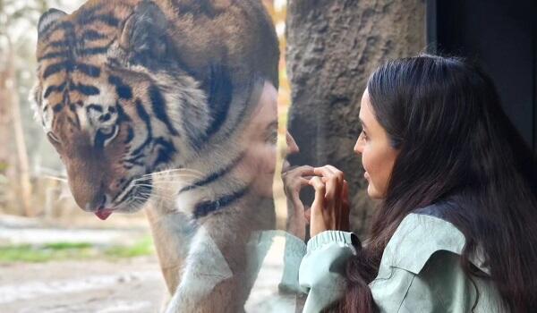 Leyla Əliyeva Bakı Zooloji Parkında - Foto