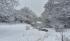 Heavy snow hits Turkiye’s northeast as wildfires rage