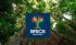 Brazil unveils BRICS logo with Amazon tree - Photo